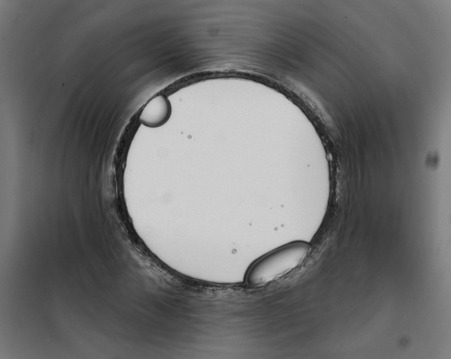 X0000100330876200807031232