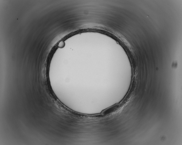 X0000100330877200807031232