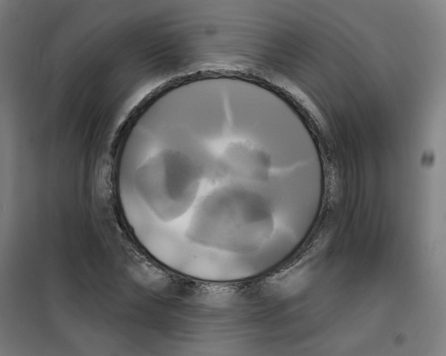 X0000100330878200807031232