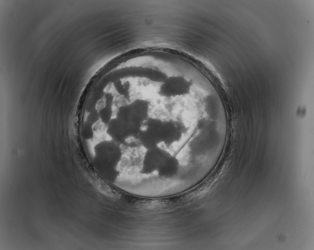 X0000100330879200807031232