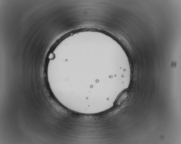 X0000100330880200807031232