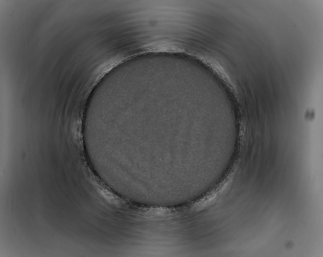 X0000100330881200807031232