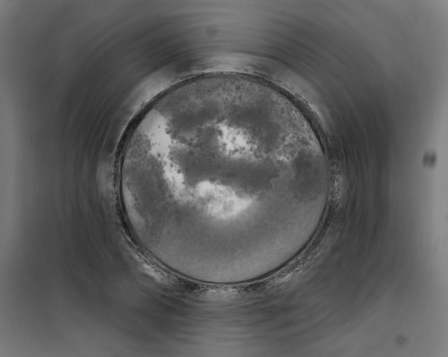 X0000100330882200807031232