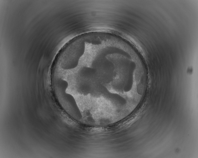 X0000100330883200807031232