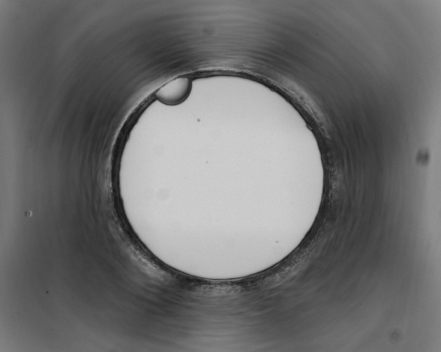 X0000100330884200807031232