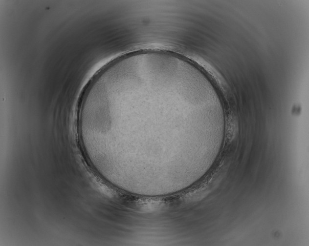 X0000100330886200807031232