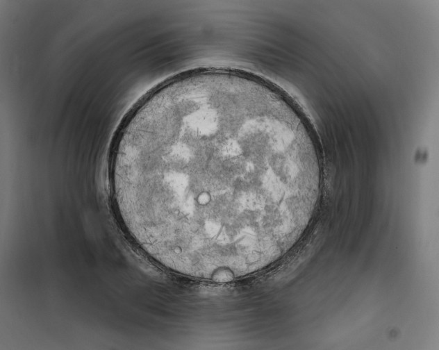 X0000100330887200807031232