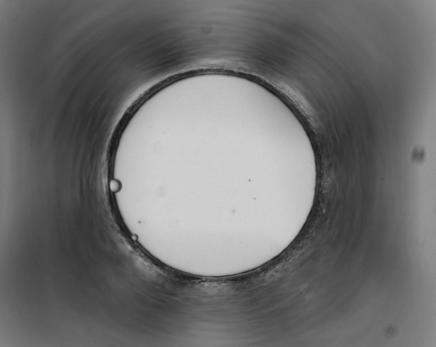 X0000100330888200807031232