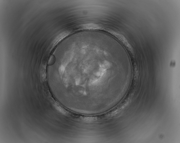 X0000100330889200807031232