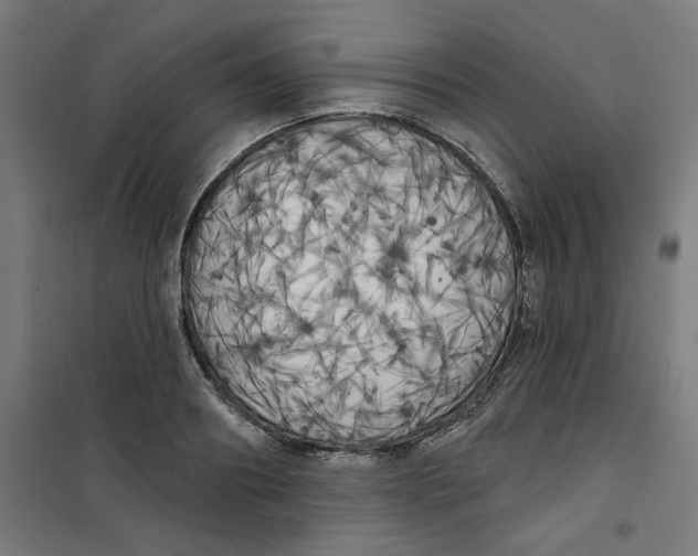 X0000100330890200807031232