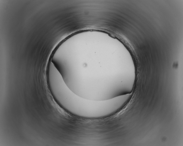 X0000100330892200807031232