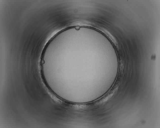 X0000100330893200807031232