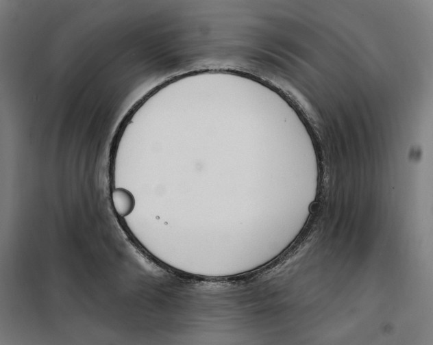 X0000100330894200807031232