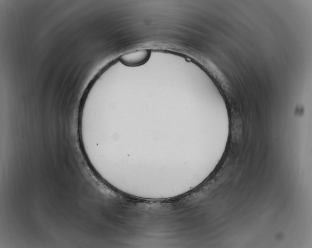 X0000100330896200807031232