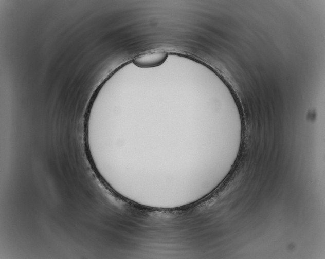 X0000100330898200807031232