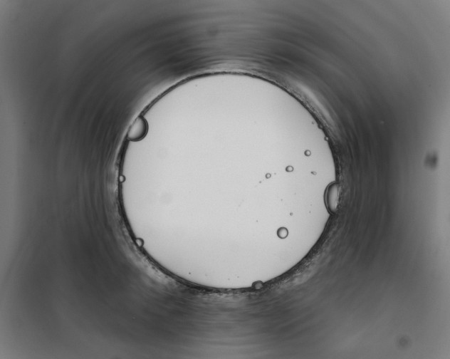 X0000100330900200807031232