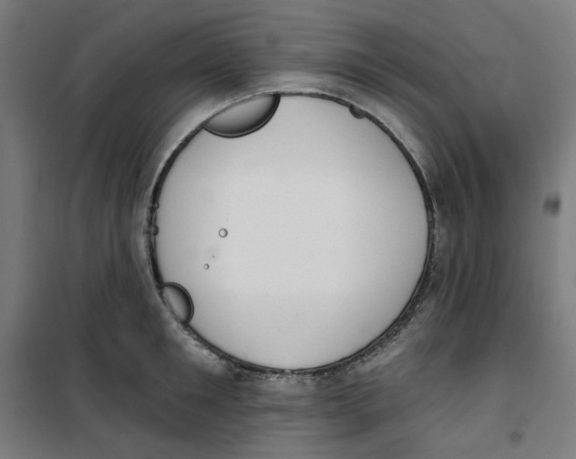 X0000100330901200807031232