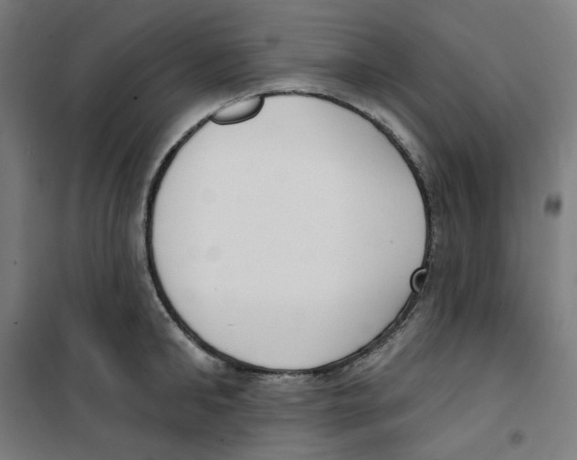 X0000100330902200807031232