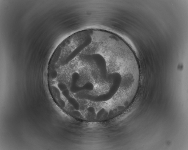 X0000100330903200807031232