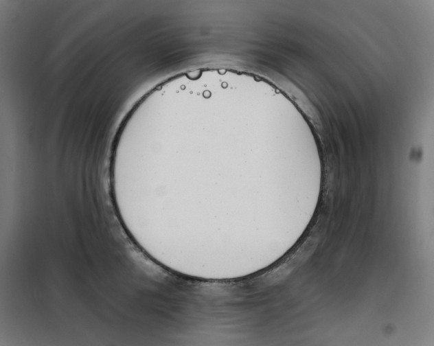 X0000100330904200807031232