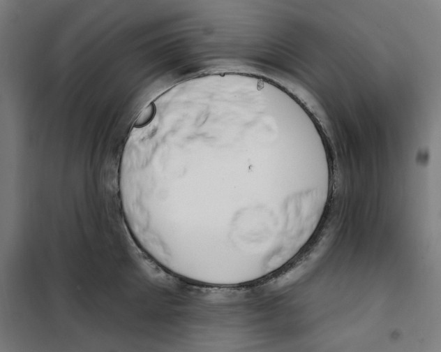 X0000100330905200807031232