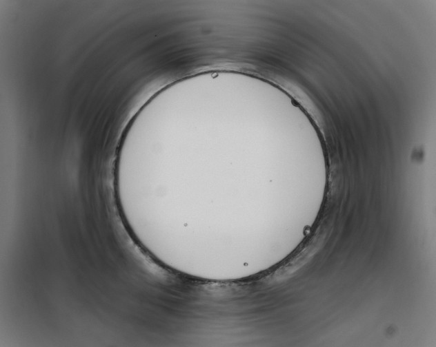 X0000100330906200807031232