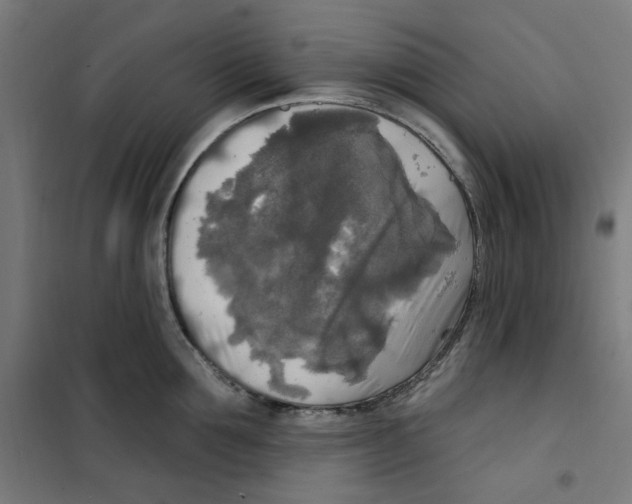 X0000100330907200807031232