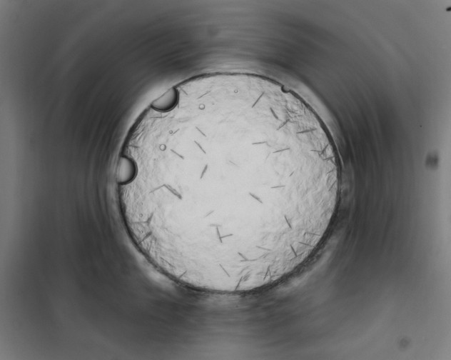 X0000100330909200807031232