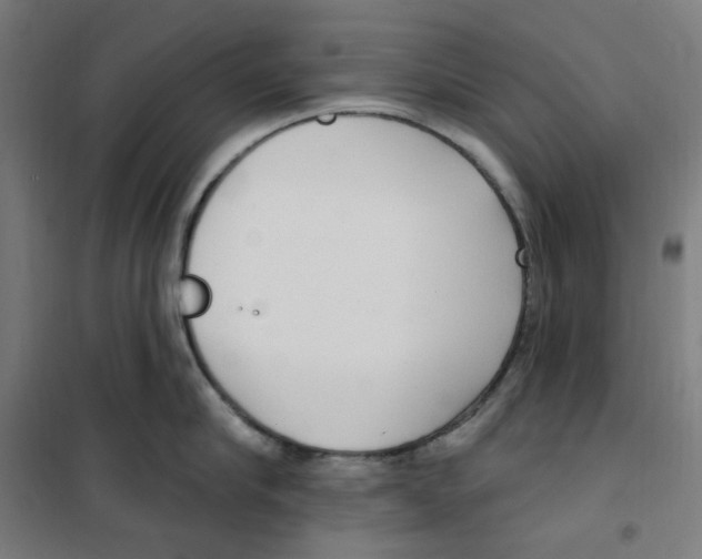 X0000100330910200807031232