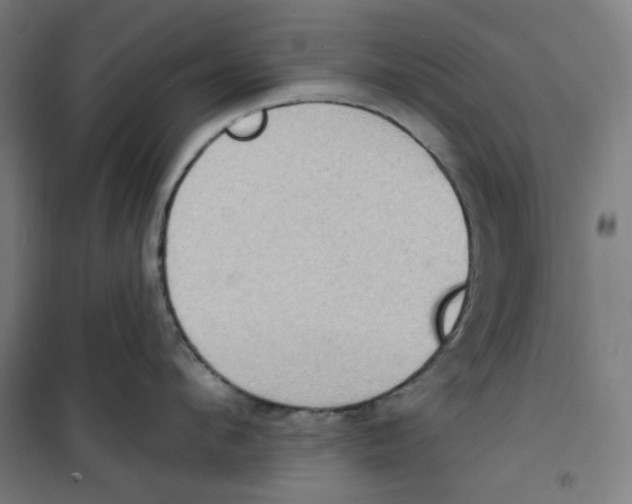 X0000100330912200807031232