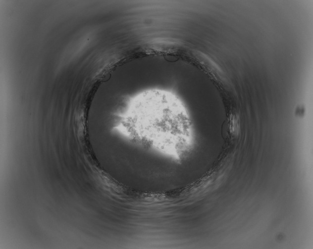 X0000100330915200807031231