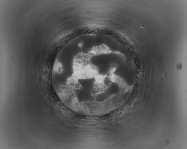 X0000100330917200807031231