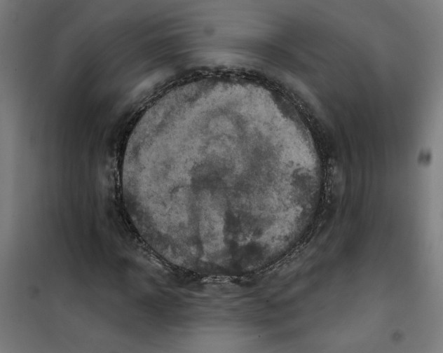 X0000100330918200807031231