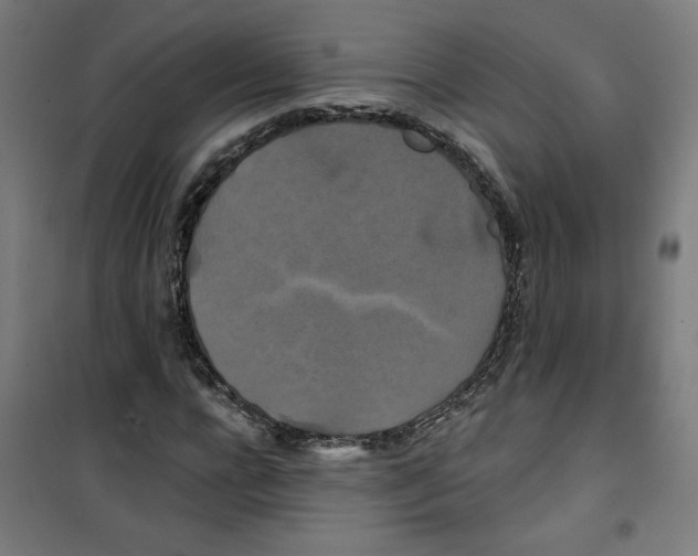 X0000100330920200807031231