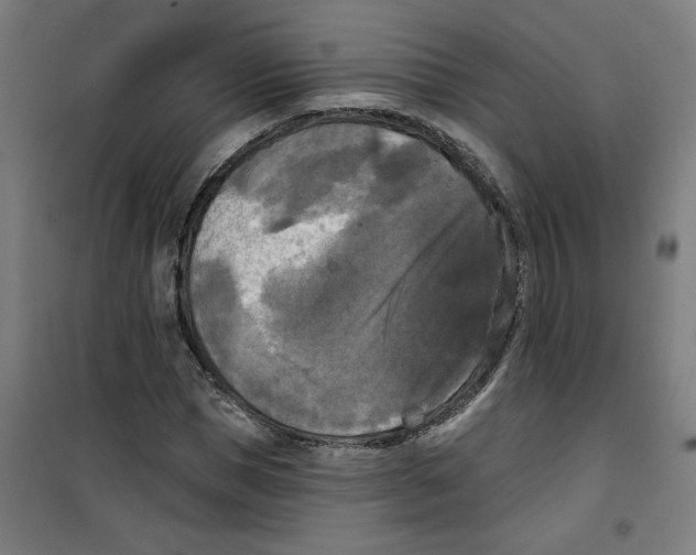 X0000100330921200807031231