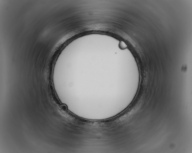 X0000100330922200807031231