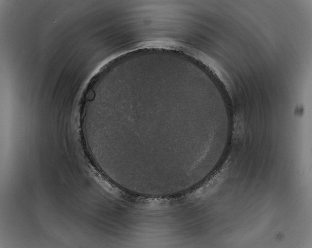 X0000100330923200807031231