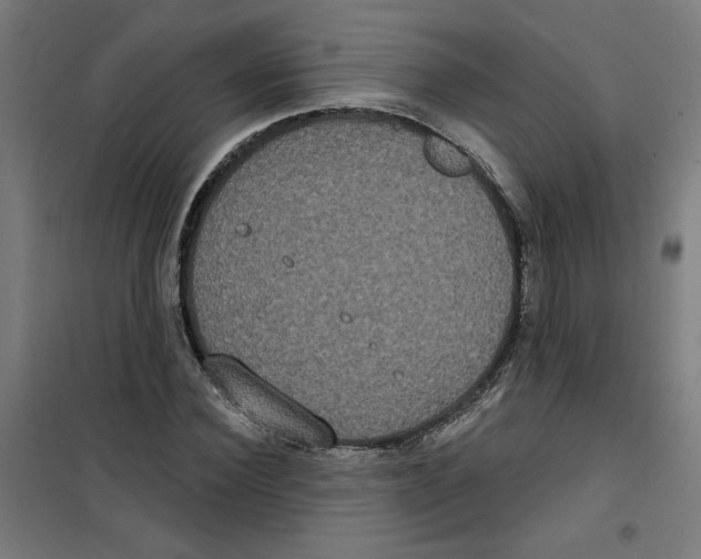 X0000100330924200807031231