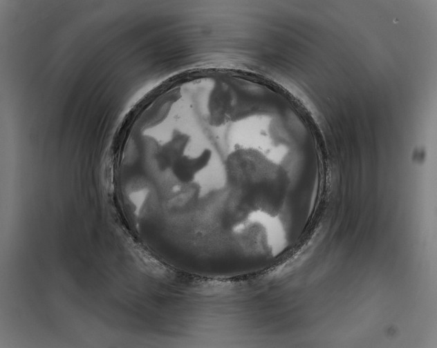 X0000100330925200807031231