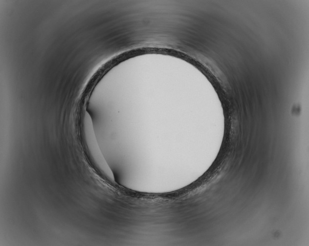 X0000100330926200807031231