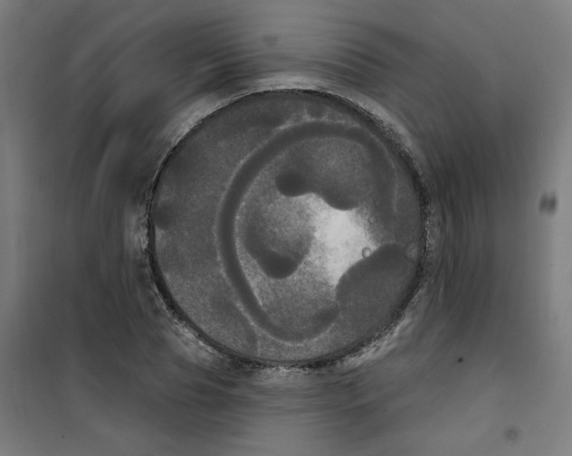 X0000100330929200807031231