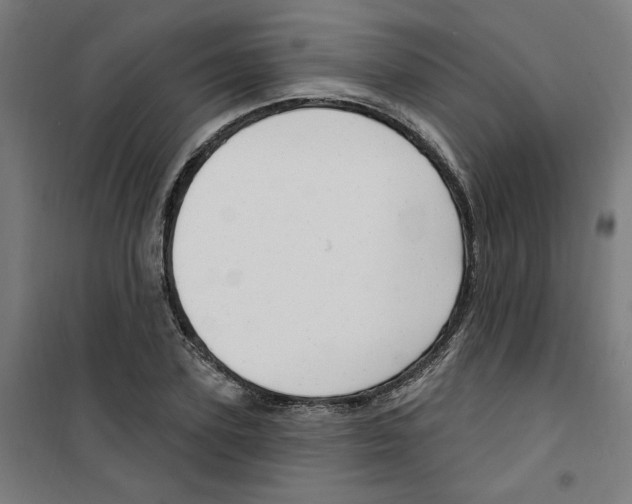 X0000100330931200807031231