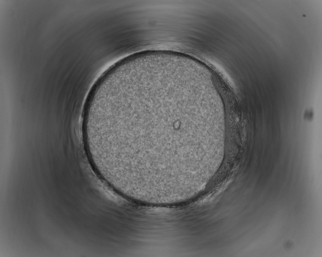 X0000100330932200807031231