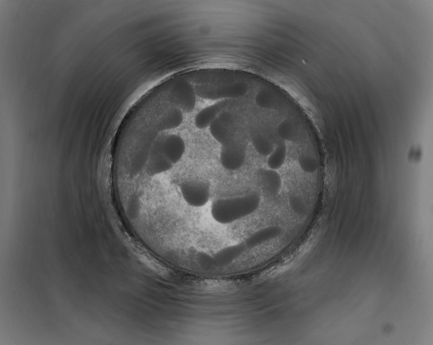 X0000100330933200807031231