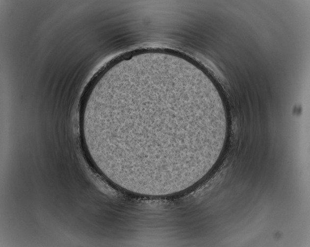 X0000100330934200807031231