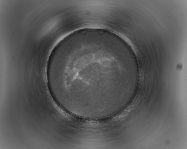 X0000100330935200807031231