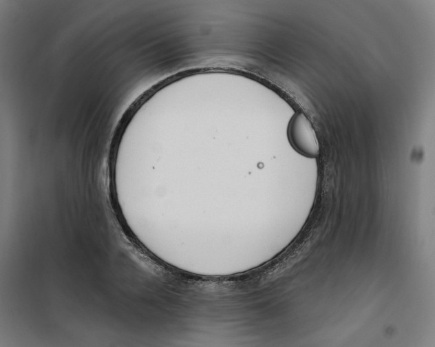 X0000100330936200807031231