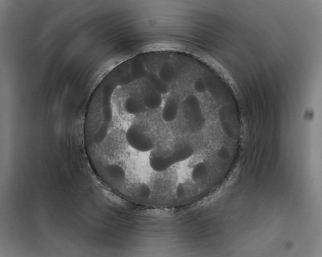 X0000100330937200807031231