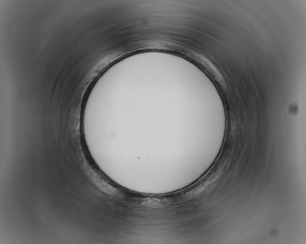 X0000100330938200807031232