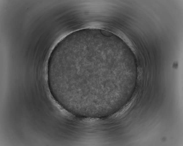 X0000100330939200807031232